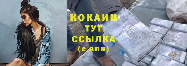 соль ск Кодинск