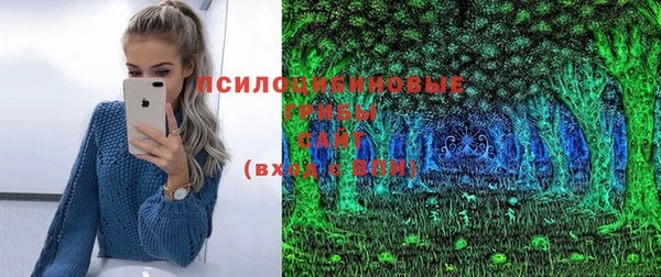 бошки Козельск