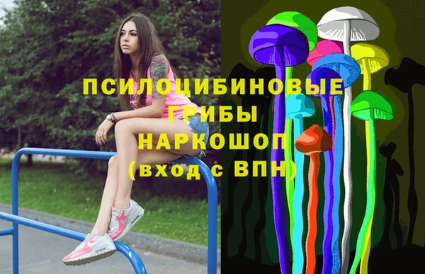бошки Козельск