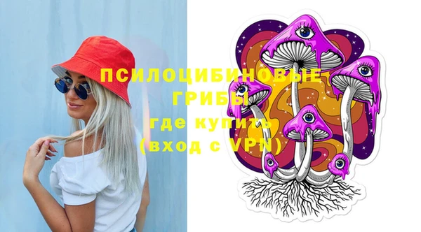 соль ск Кодинск