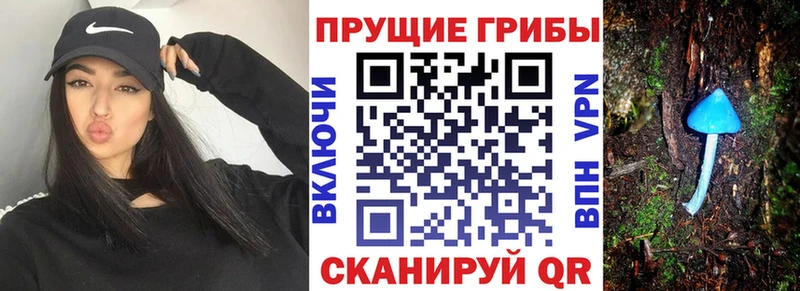Купить закладки  Семёнов  Псилоцибиновые грибы Magic Shrooms 